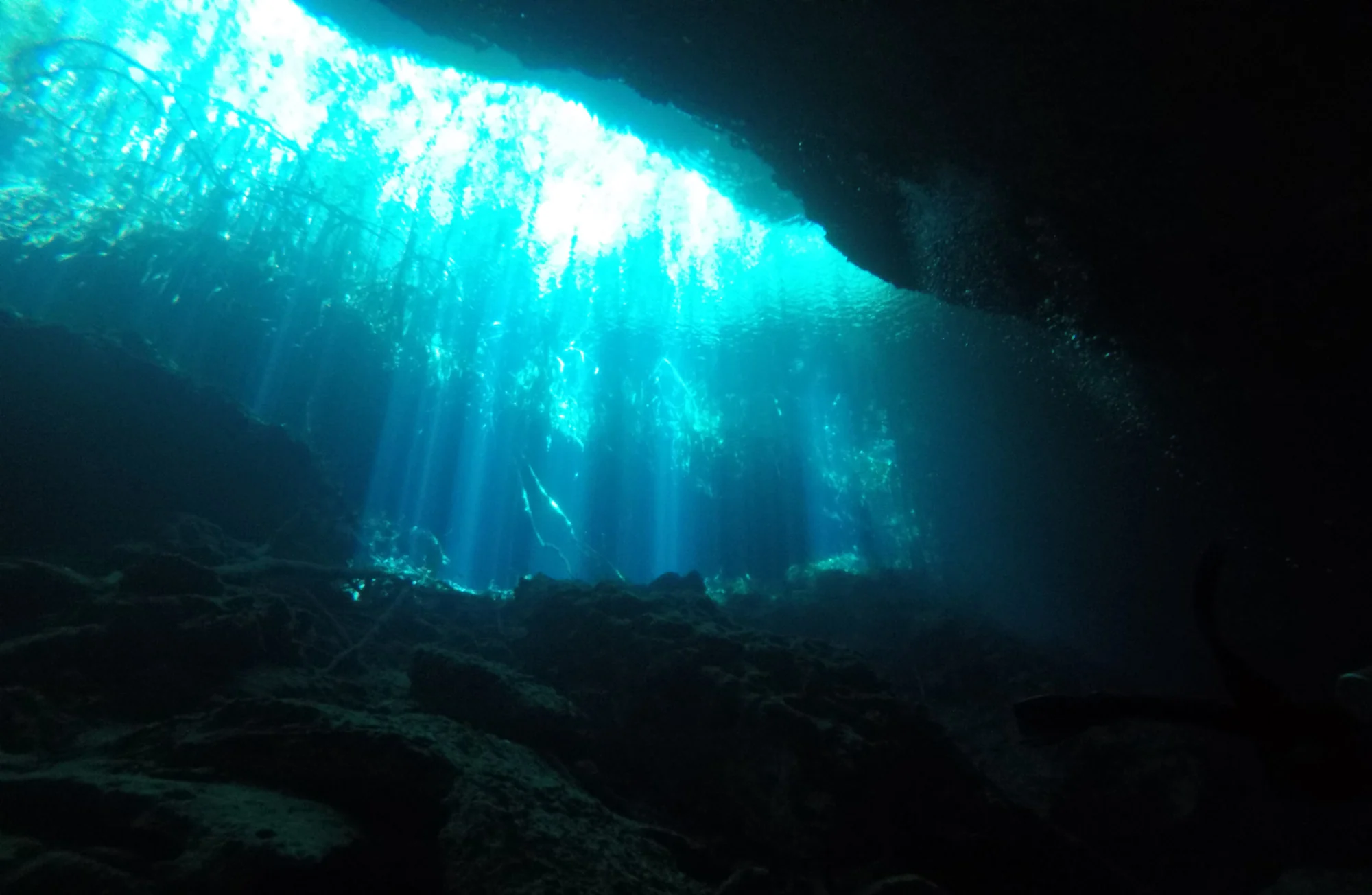 Sunlight entering the cavern at Ponderosa (El Edén) cenote