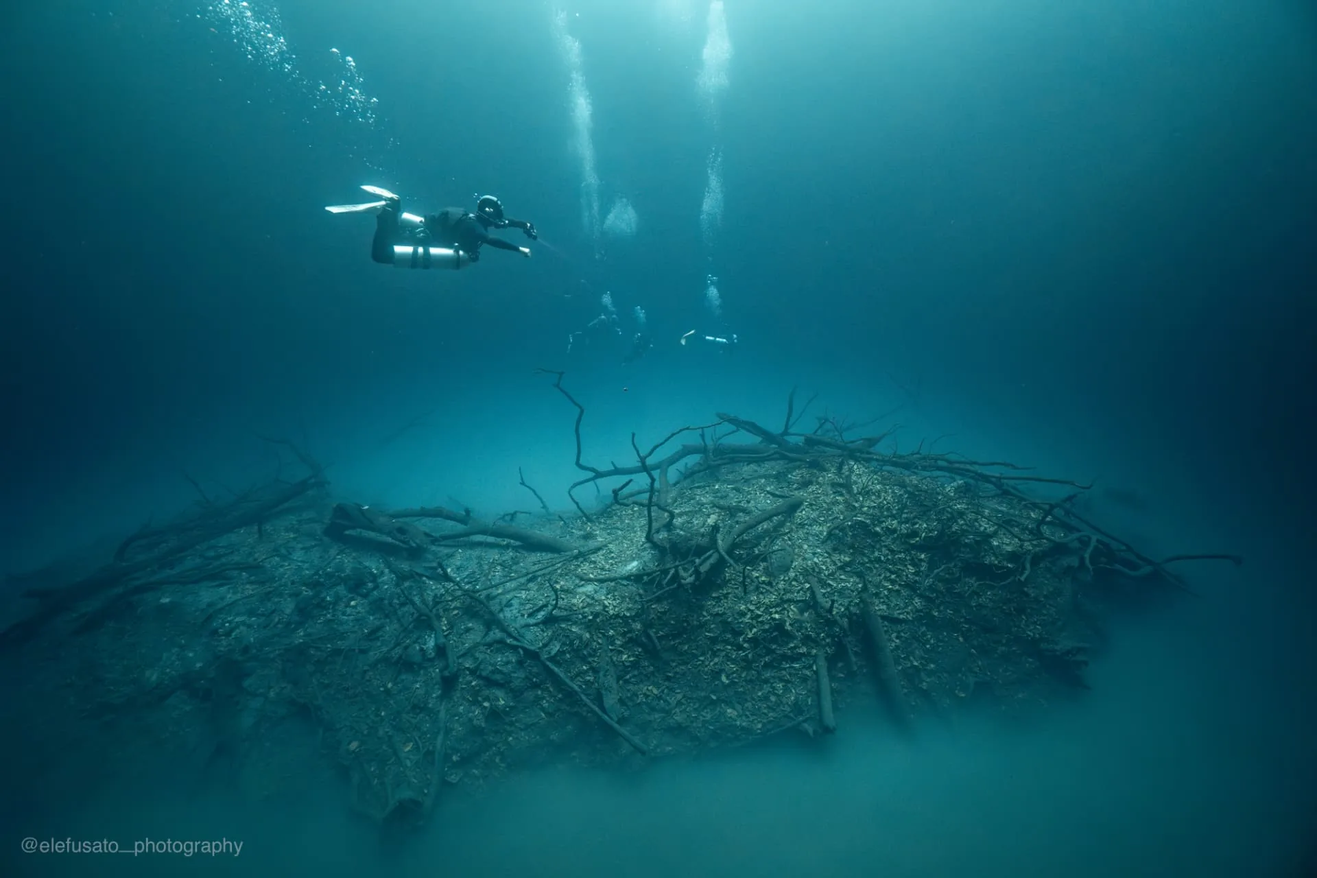 Divers descending together toward the branch island of Angelita