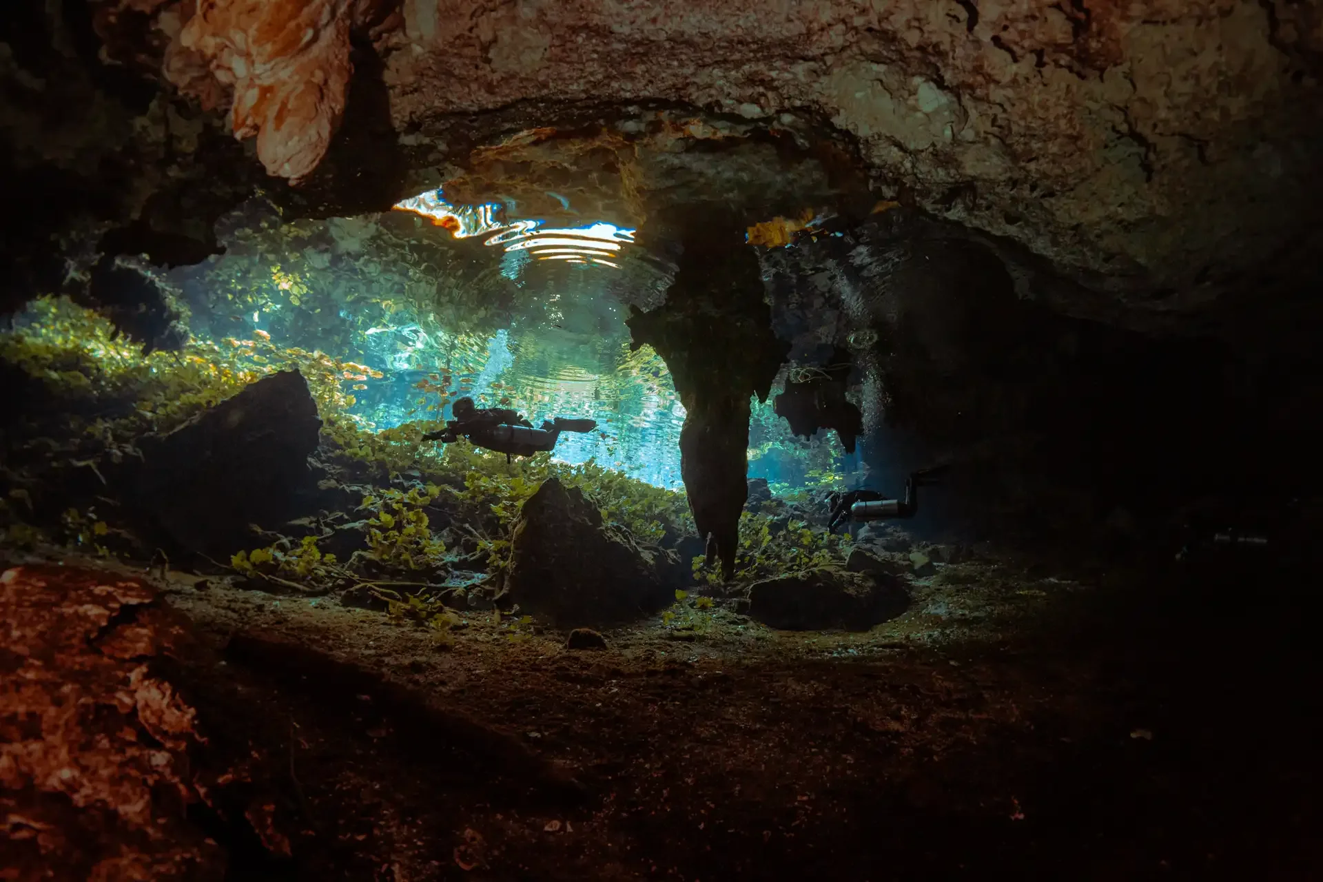 Divers crossing a cavern framed by aquatic plants and natural light at Nicte Ha cenote.