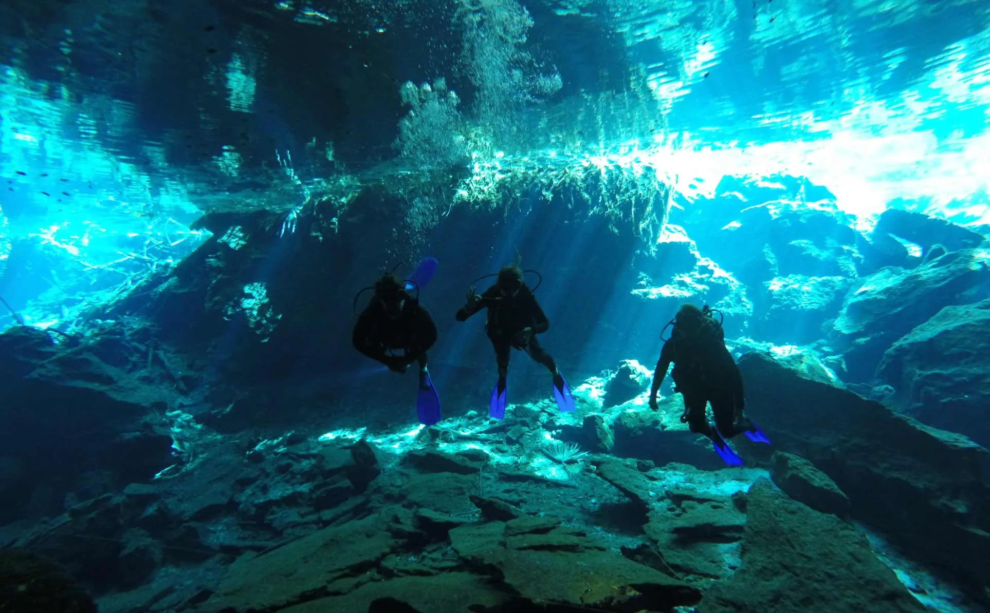 Three divers beneath bright natural light in the clear water of Chikin Ha cenote.