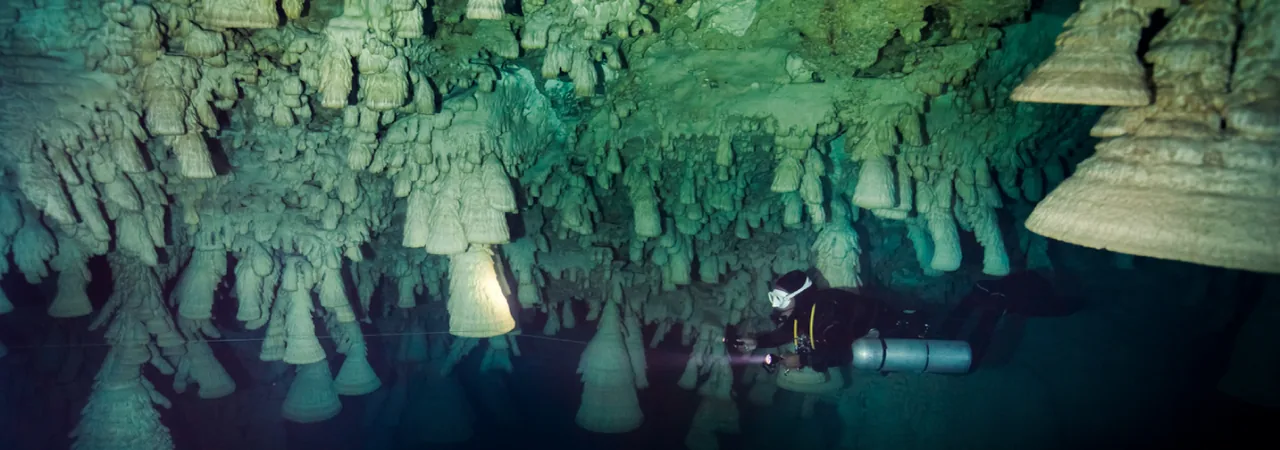 Diver with a light below the ceiling of bell-shaped formations in Cenote Zapote.
