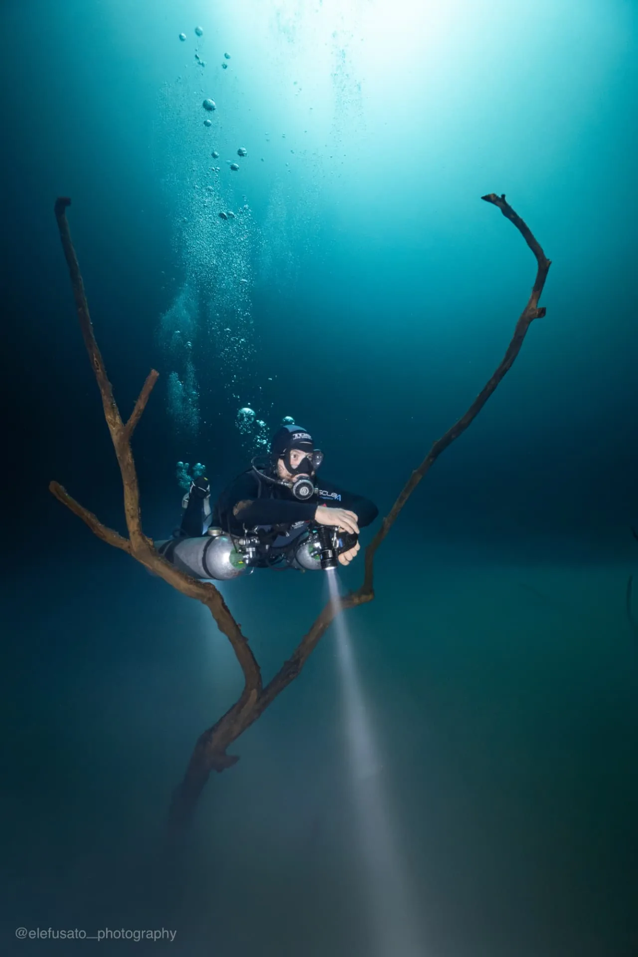 Backlit diver beside a submerged branch in Angelita