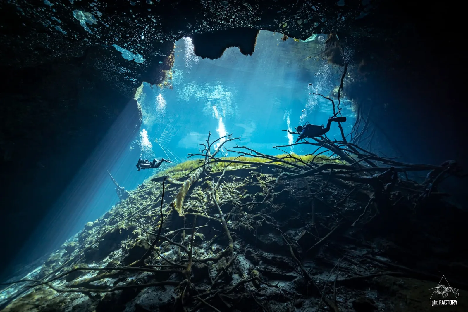 Divers in the cavern zone of Cenote Carwash, with daylight entering from the open-water area