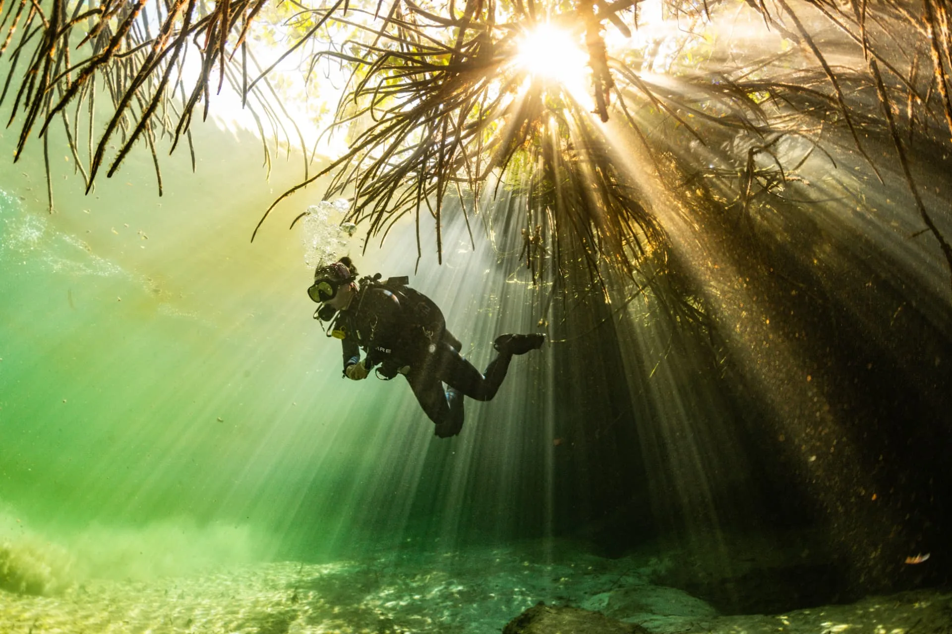 Diver below a sunburst shining through mangrove roots at Casa Cenote.