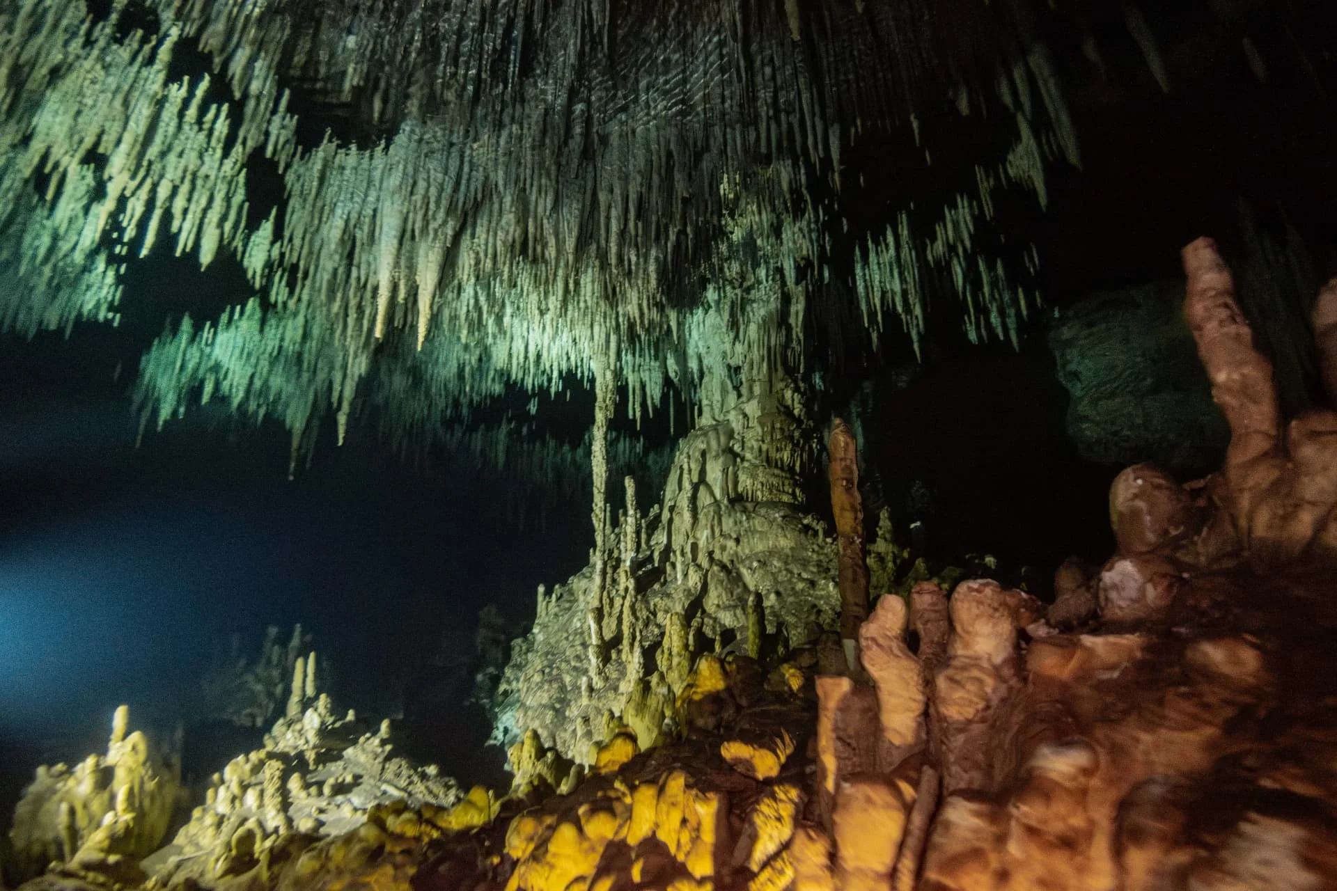 Dense field of stalactites and stalagmites in Dreamgate cenote.