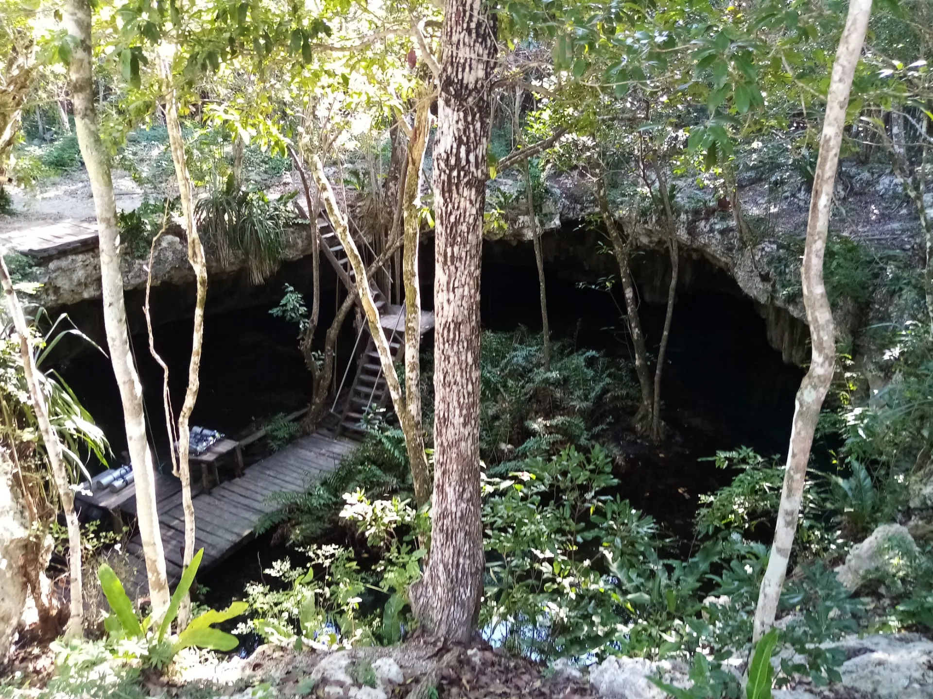 Wooden stairs and platform leading into the jungle entrance of Cenote Dreamgate.