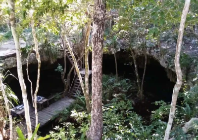 Entrada al cenote Dreamgate rodeada de selva, con escaleras de acceso de madera y plataforma para equipo de buceo