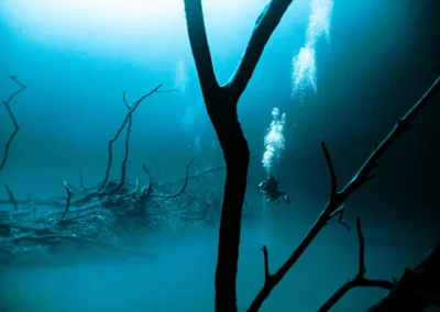 buzo cruzando la nube sulfurosa del cenote Angelita a 30 m