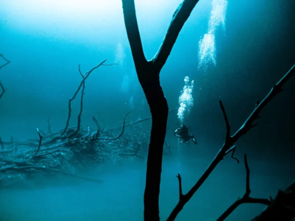 buzo cruzando la nube sulfurosa del cenote Angelita a 30 m