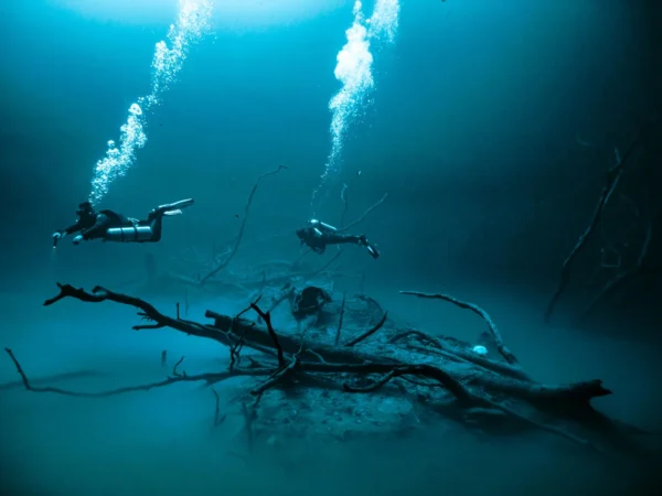Cenote Angelita and Dreamgate Diving – Mystical Depth and Underground Cathedral Experience