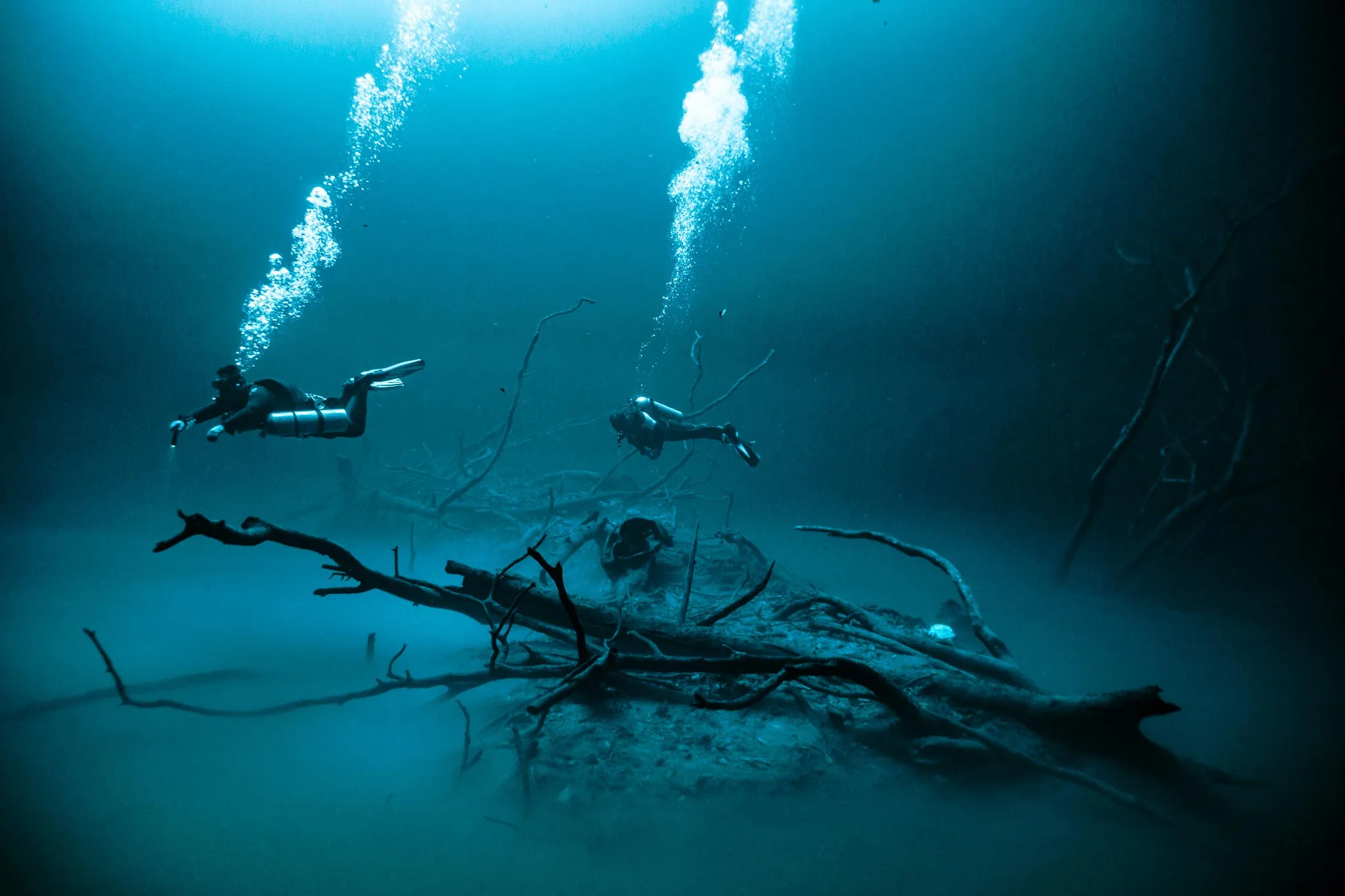 Cenote Angelita and Dreamgate Diving – Mystical Depth and Underground Cathedral Experience