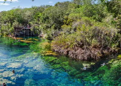 Cenote Ponderosa visto desde la superficie, con aguas cristalinas y visitantes disfrutando del entorno natural