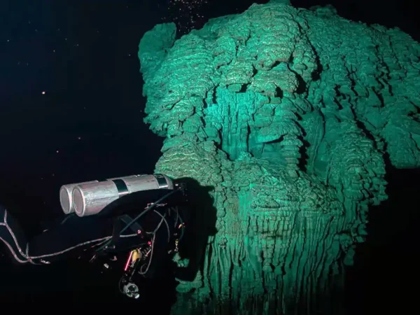 Zapote + Kin Ha – Las Campanas del Infierno