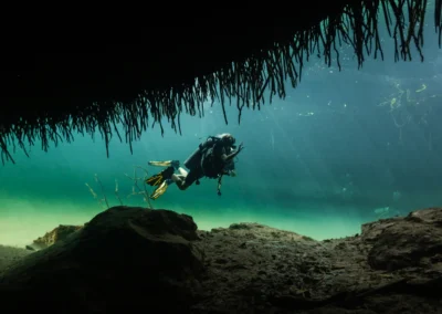 Buceo Casa Cenote con luz natural entre manglares y raíces en Tulum