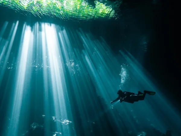 Diver beneath a curtain of light beams in the Ponderosa (El Edén) cenote near Playa del Carmen