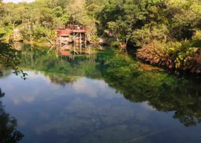 Vista exterior del cenote Eden (Ponderosa) mostrando aguas cristalinas rodeadas por vegetación tropical y muelle de acceso