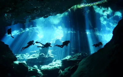 What Is It Like to Dive in a Cenote?