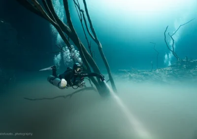 diver exploring Cenote Angelita’s halocline amid submerged tree branches and a cloud of sediment, photo by Elefusato Photography