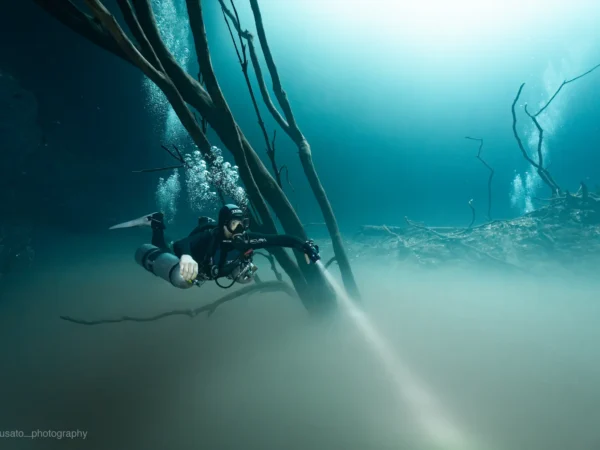 Diver exploring Angelita cenote, surrounded by roots and the characteristic sulfur cloud.