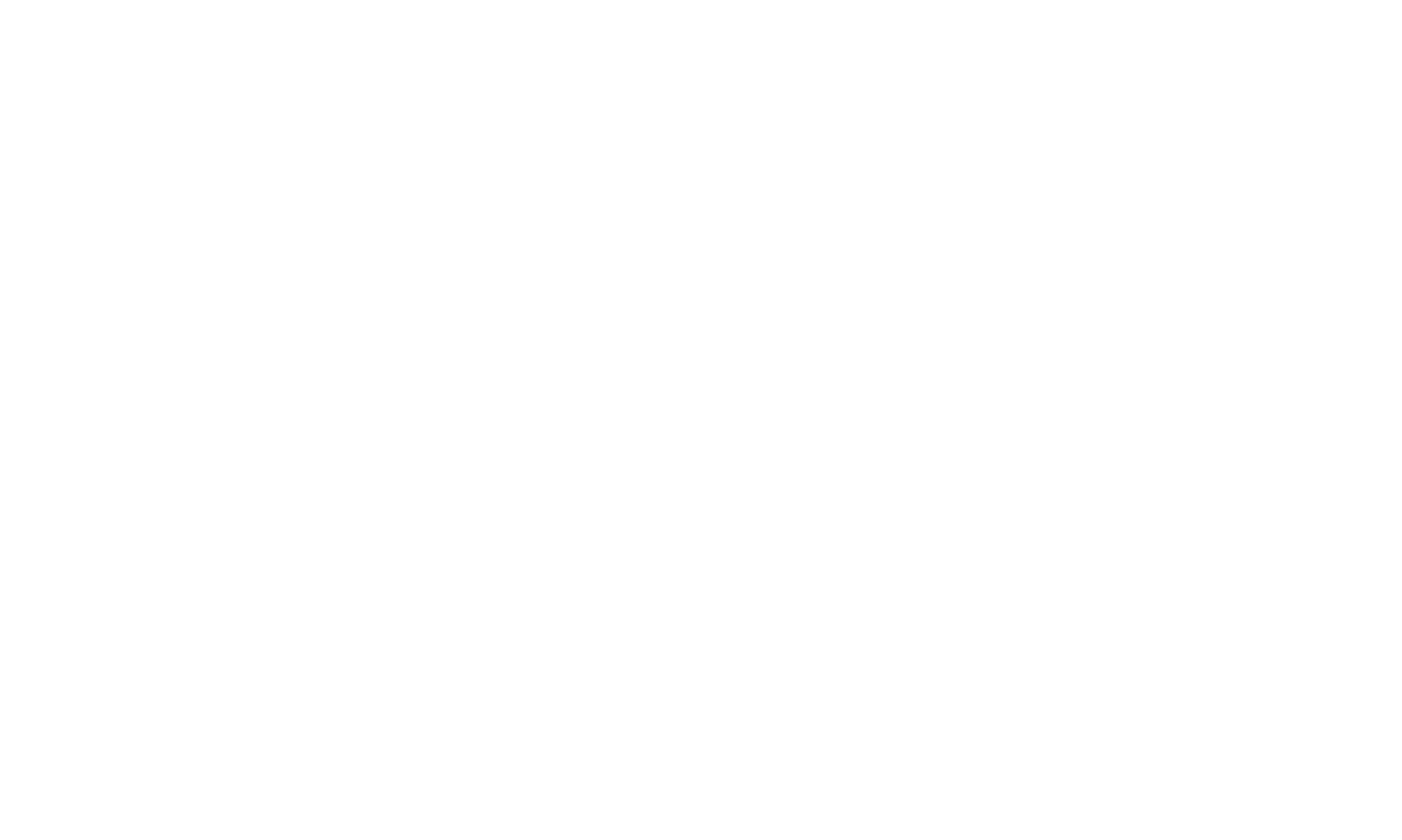 cSDI_TDI_ERDI_PFI_Letter_Vector_White_RGB_v0824-01 (1)